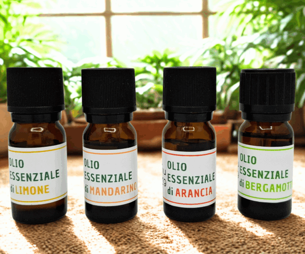 a6c1d647-9aee-40cb-b05e-4b985dc5f4a7